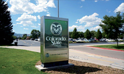 LEDPixel Totem Display